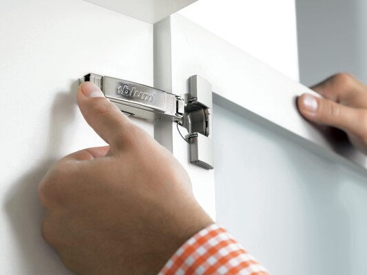 [10060159702] BLUM HINGE REGULAR 110° (3D)